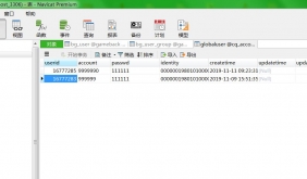 修复幽冥传奇登录不需要验证密码的bug